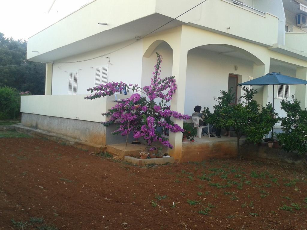 Apartments Maco Petrcane Phòng bức ảnh