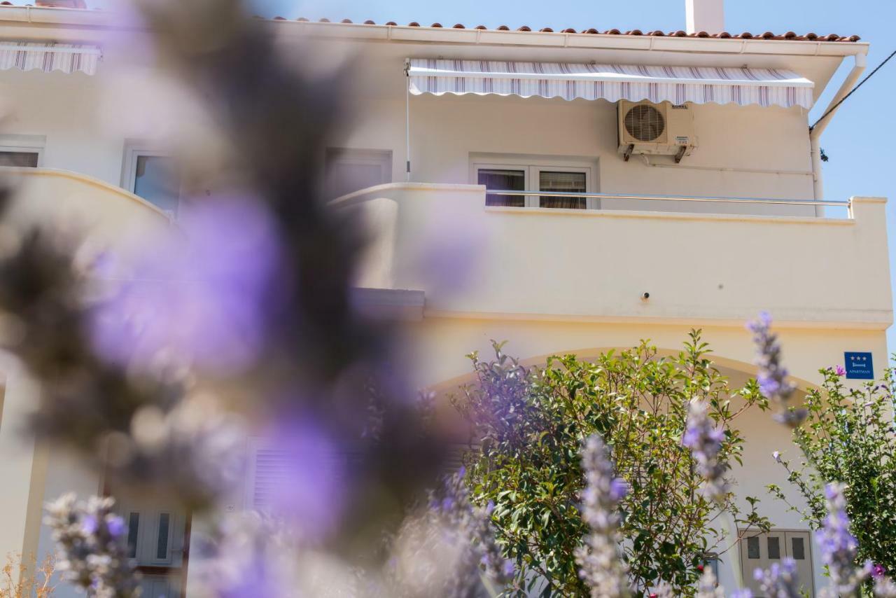 Apartments Maco Petrcane Ngoại thất bức ảnh